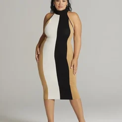 Fashion To Figure Varenna Striped Turtleneck Sheath Dress
