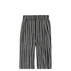 Homme Plissé Issey Miyake LENO STRIPE