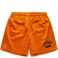 Stüssy ARCH MESH SHORT