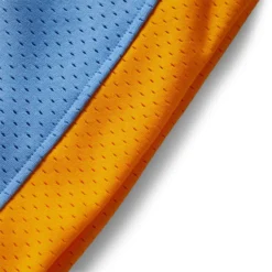 Mitchell & Ness NBA SWINGMAN SHORTS LAKERS 2001 -Pleasures SHOP mitchell nessNBASWINGMANSHORTSLAKERS2001COLUMBIABLUESSMSH1127 LAL01PPPCLBL 4