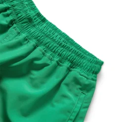 Pleasures X PLAYBOY COLLIDE SHORT -Pleasures SHOP pleasuresXPLAYBOYCOLLIDESHORTGREENSP22PB035 GREEN 4