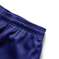 Stüssy ARCH MESH SHORT -Pleasures SHOP stussyARCHMESHSHORTPURPLES112291 4