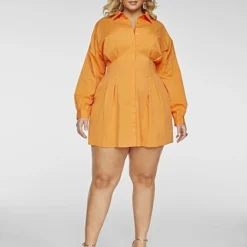 Fashion To Figure Penelope Cinched Poplin Shirt Dress
